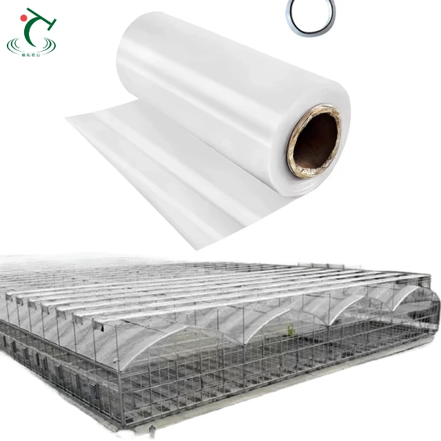 

Customized greenhouseThailand Aluminium Multispan Hydroponics Heater Agricultural Tunnel Greenhouse for Commercial Tomatoes/Flow