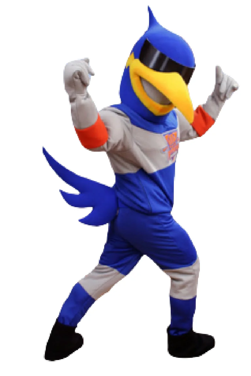 Bird Correc Aminos 마스코트 의상 맞춤형 의상 애니메이션 코스프레 키트 마스코트 테마 멋진 드레스 카니발 의상 b0450