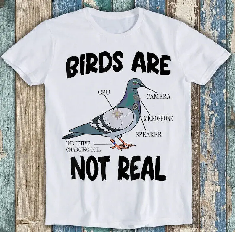 

Pigeon Birds Are Not Real Funny Bird Spies T Shirt M1587