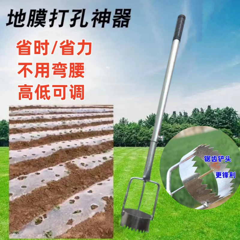 

New model of film perforator, multifunctional tool for making holes and punctures in greenhouse film and plastic sheeting, plant