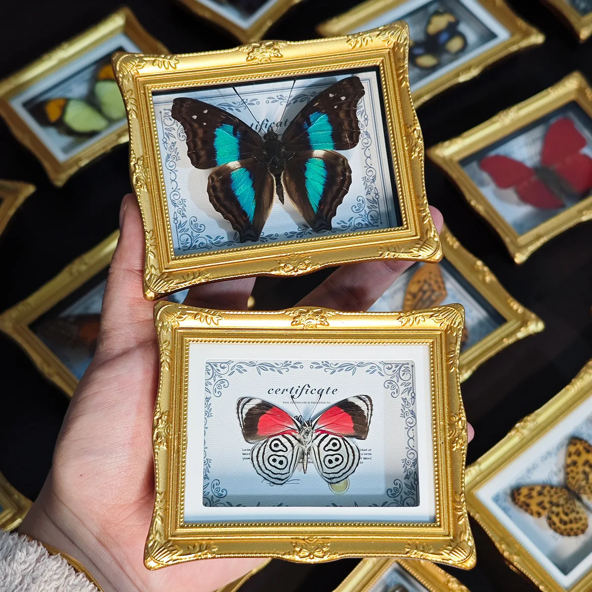 Magnetic Butterfly Fridge Sticker, European Photo Frame Home Decor, Birthday Gift, Science Teaching Aid
