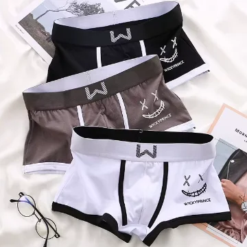 Boxers U-Convexe en Coton pour Homme, Sous-Vêtements Sexy et Confortables, 3 Pièces