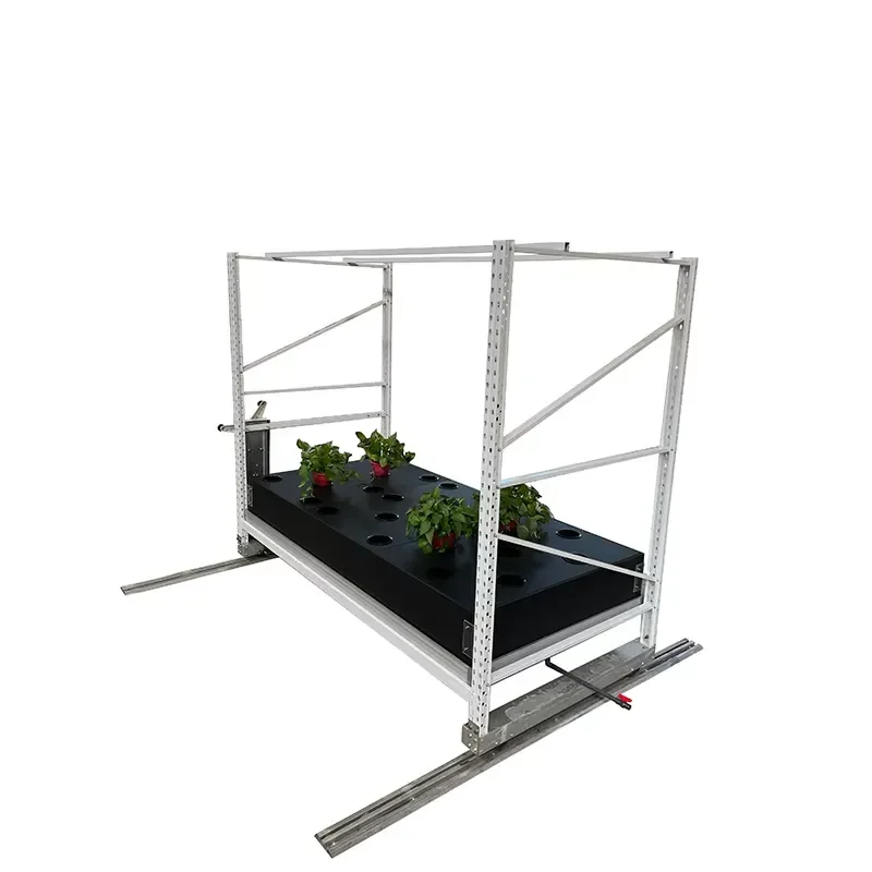 Two-Layer Aeroponics Rack System for Growing Flower
