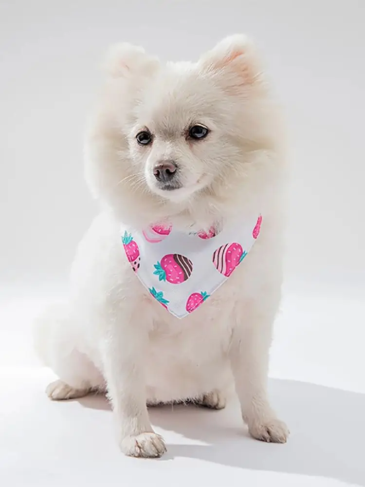 Bavoirs réglables mignons pour animaux de compagnie, serviette de salive pour chien, écharpe de cou pour chiot et chat, collier bandana, bavoir triangle, mouchoir de la présidence