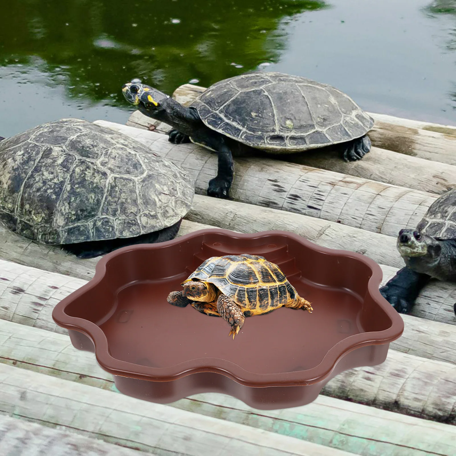 

Reptile Water Bowl Stable Compact ABS Feeding Dish Turtle Lizard Bath Basin Reptile Food Dish Bowl