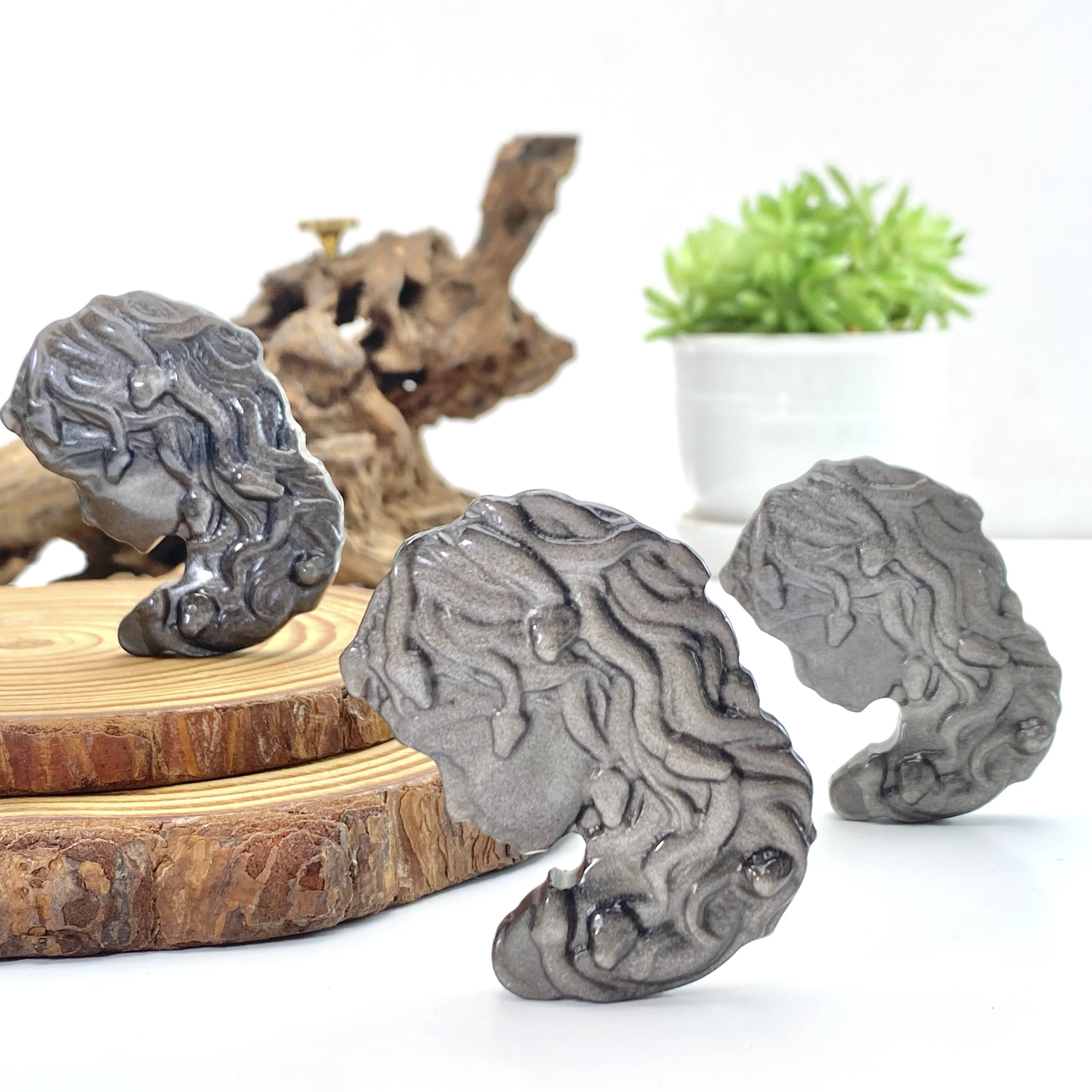Random 1PC High Quality Natural Medusa,Birthday Gift,Men Gift,Women Gift,Scene Decoration,Table Decoration.