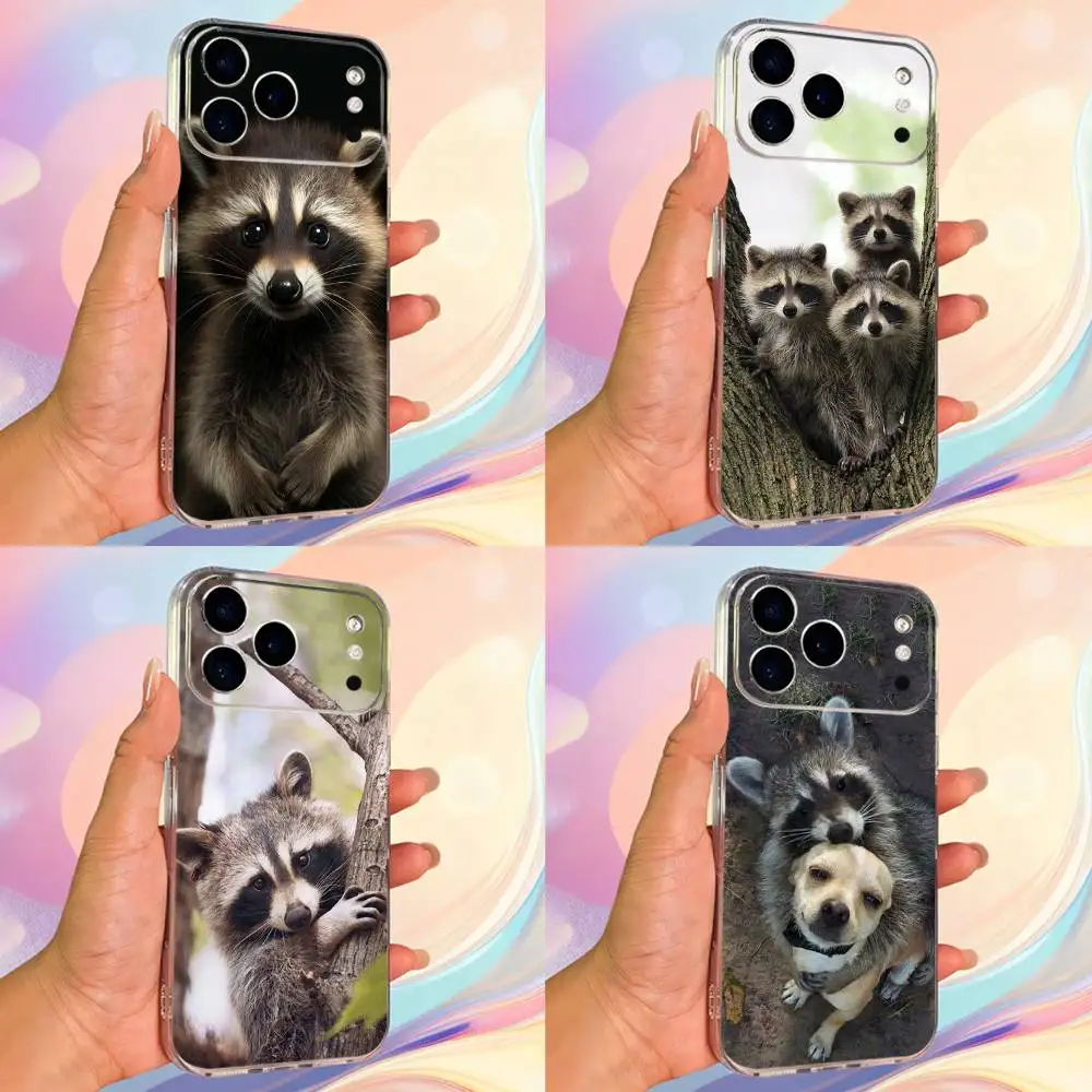 

Cute Emoticons Raccoon Phone Case For iPhone 14,13,12,11,17,16,15,Pro,Max,Plus,X,XS,XR,SE,Mini Transparent Soft Cover