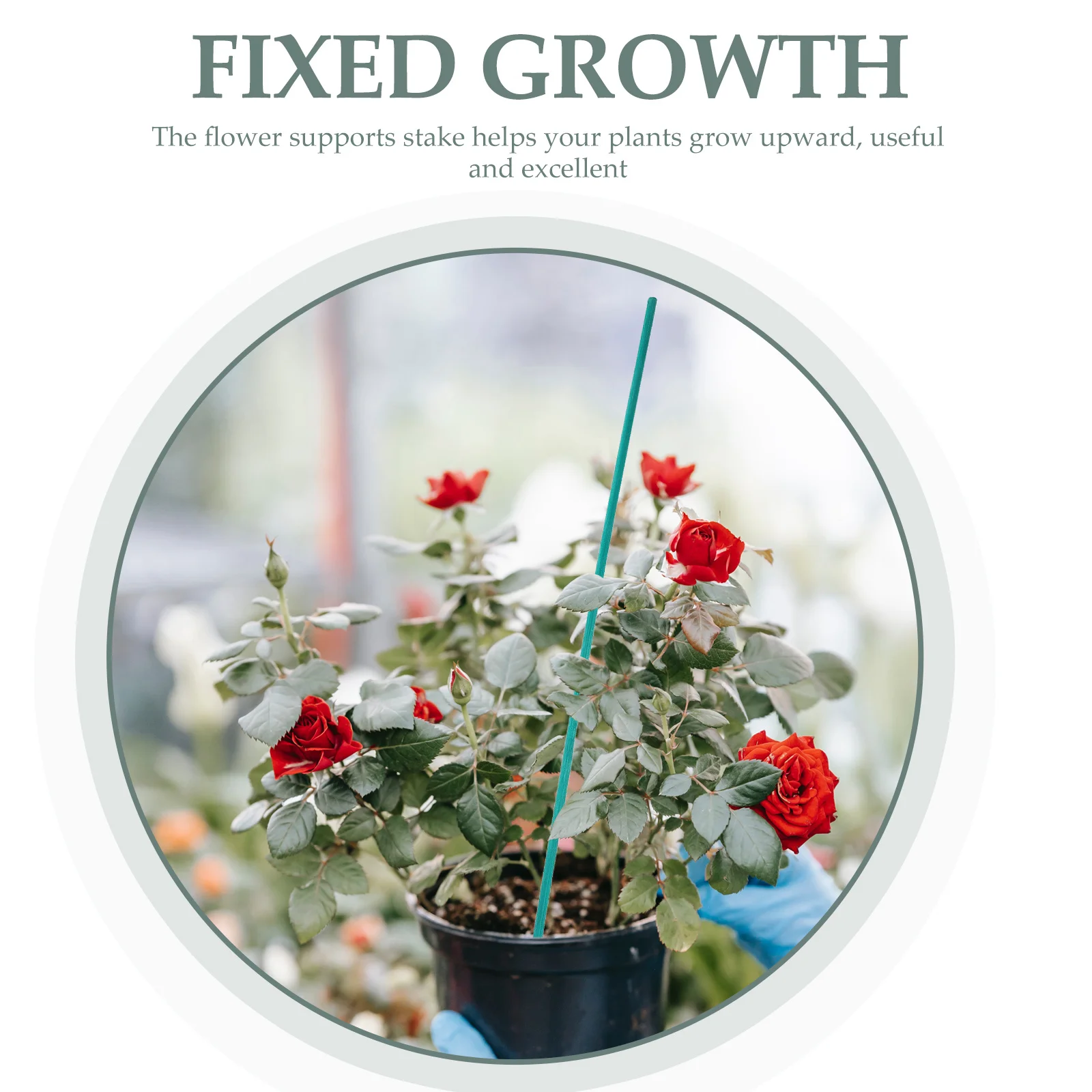 

1 set Plant Support Stakes Kit Bamboo Flower Sticks Stem Support Climbing Plant Stakes Set Garden Decor Tools Bamboo Sticks For