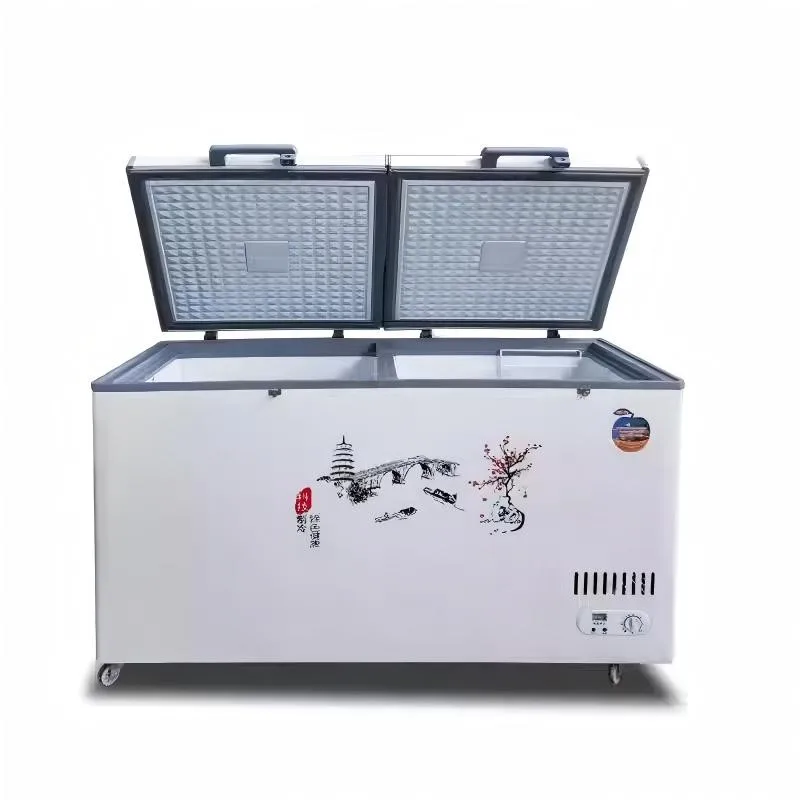 Large Commercial Vertical Open Display Freezer Dual Temperature Two Doors Direct Cooling with Adjustable Knob Control