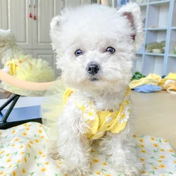 1PC Pet Clothes Cat Spring/Summer Thin Yellow Strap Rabbit Skirt Suitable for Small and Medium Dogs