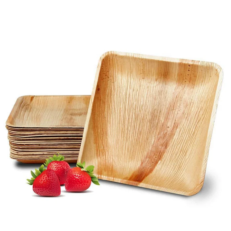 

Best-25 Disposable Palm Leaf Plates, 8Inch(20Cm) , Eco Friendly Biodegradable Compostable Plates