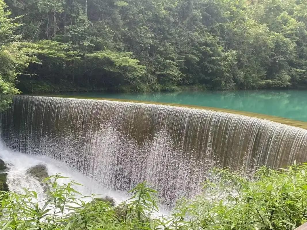 

1000pcs 20cm Natural Wheat Straw Reusable Drinking Straws 100% Natural Biodegradable Straws Environmentally Friendly Bar Tool