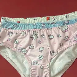 Korean Style Cute And Sweet Hello Kitty Cartoon Printed Lace Underwear Panties For Women Y2k Triangle Underwear Briefs