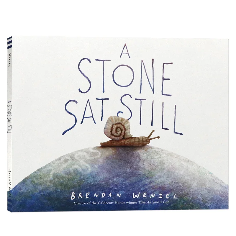 A Stone Sat Still, Children's books aged 2 3 4 English book, Picture Books Stories 9781797215716