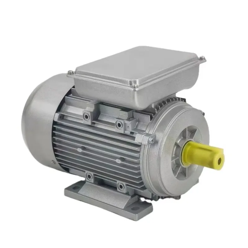 

YC YL Series 220V AC Motor Single Phase 0.25kw to 3.75kw Low Noise Induction Motor