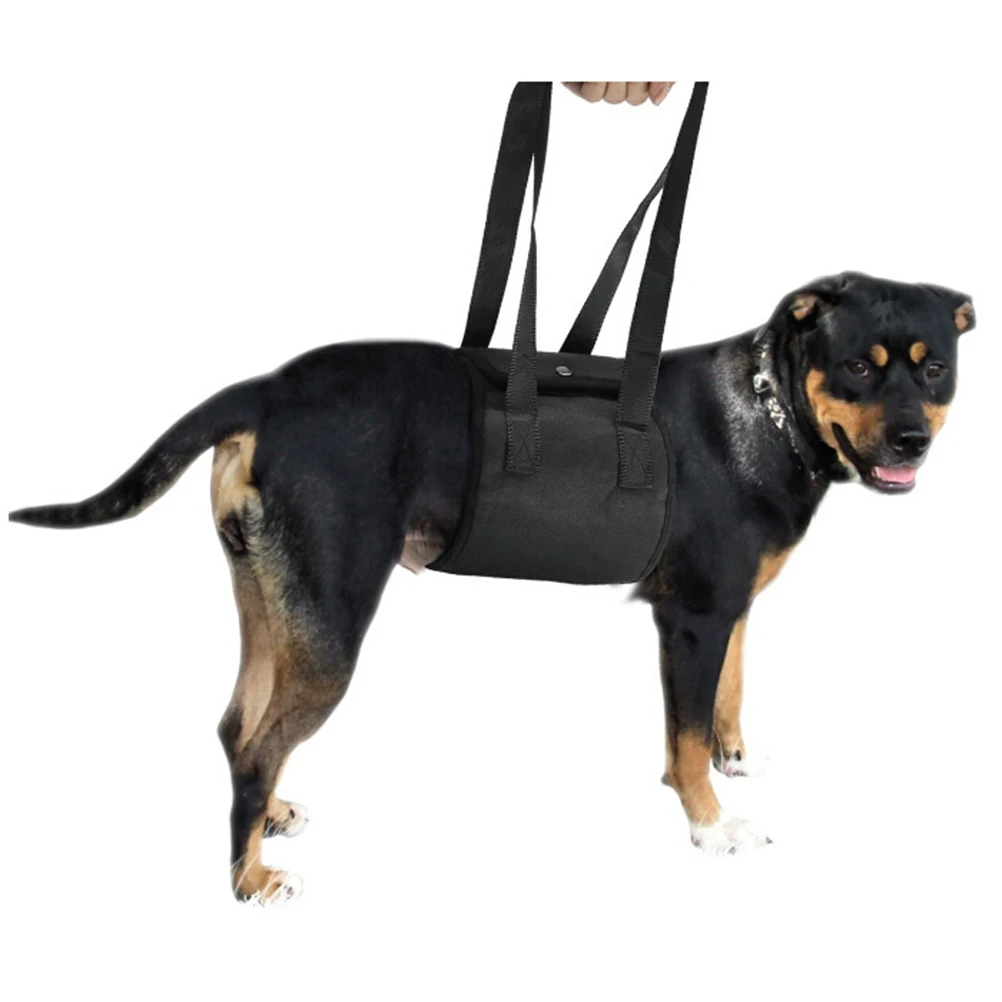 

Adjustable Dog Lift Support Harness Pet Protection Belt Assist Sling Dachshund Leash Foldable Lightweight Portable Rehab