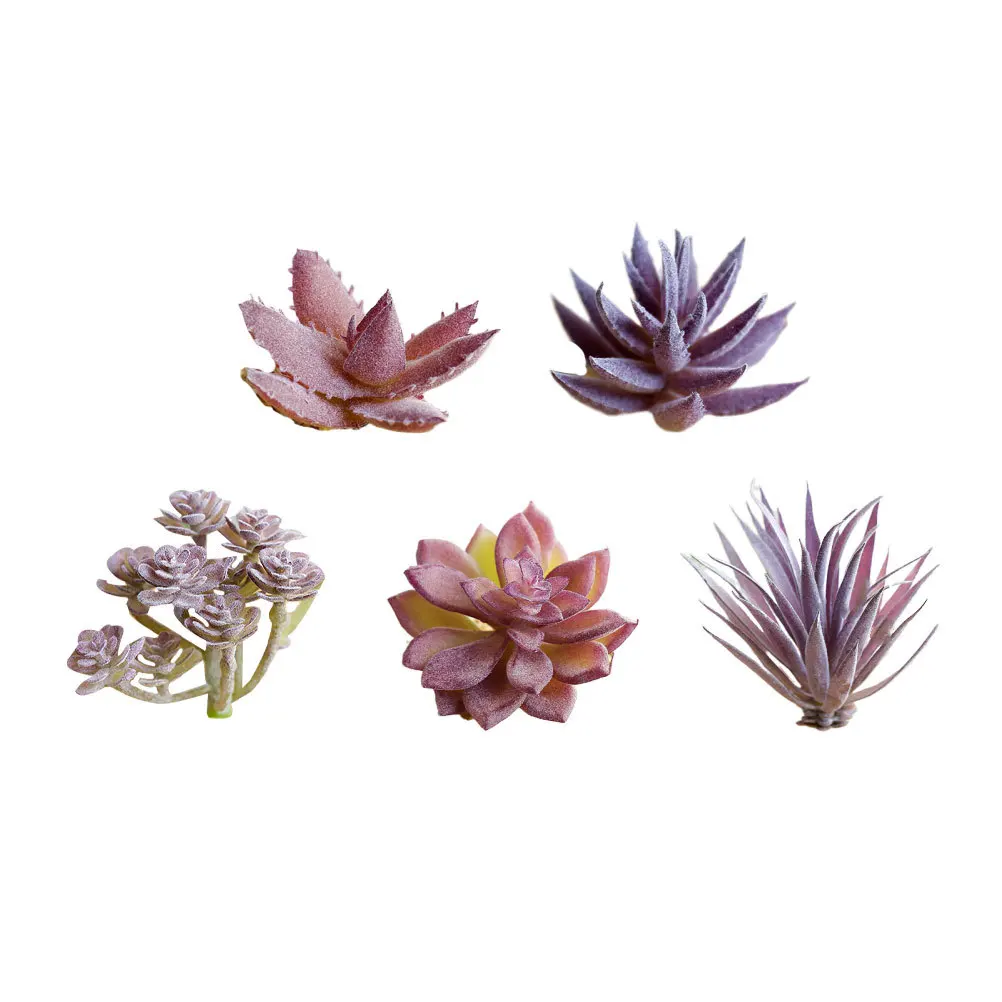 5 قطعة رأس زهرة عصارية محاكاة إبداعية نابض بالحياة رف سطح المكتب الأخضر ديكور زهرة اصطناعية متدفقة #5