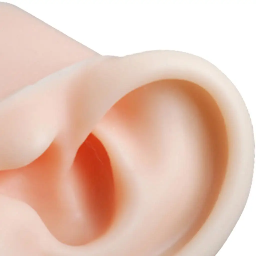 Soft Silicone Ear Model Fake Ear Learning Tools Delicate Texture