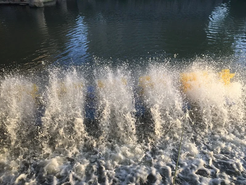 Chinese Manufacturer Changfa Brand Diesel Powered Stainless Steel Paddle Wheel Aerator Pump Motor Energy Saving Fish Shrimp Pond