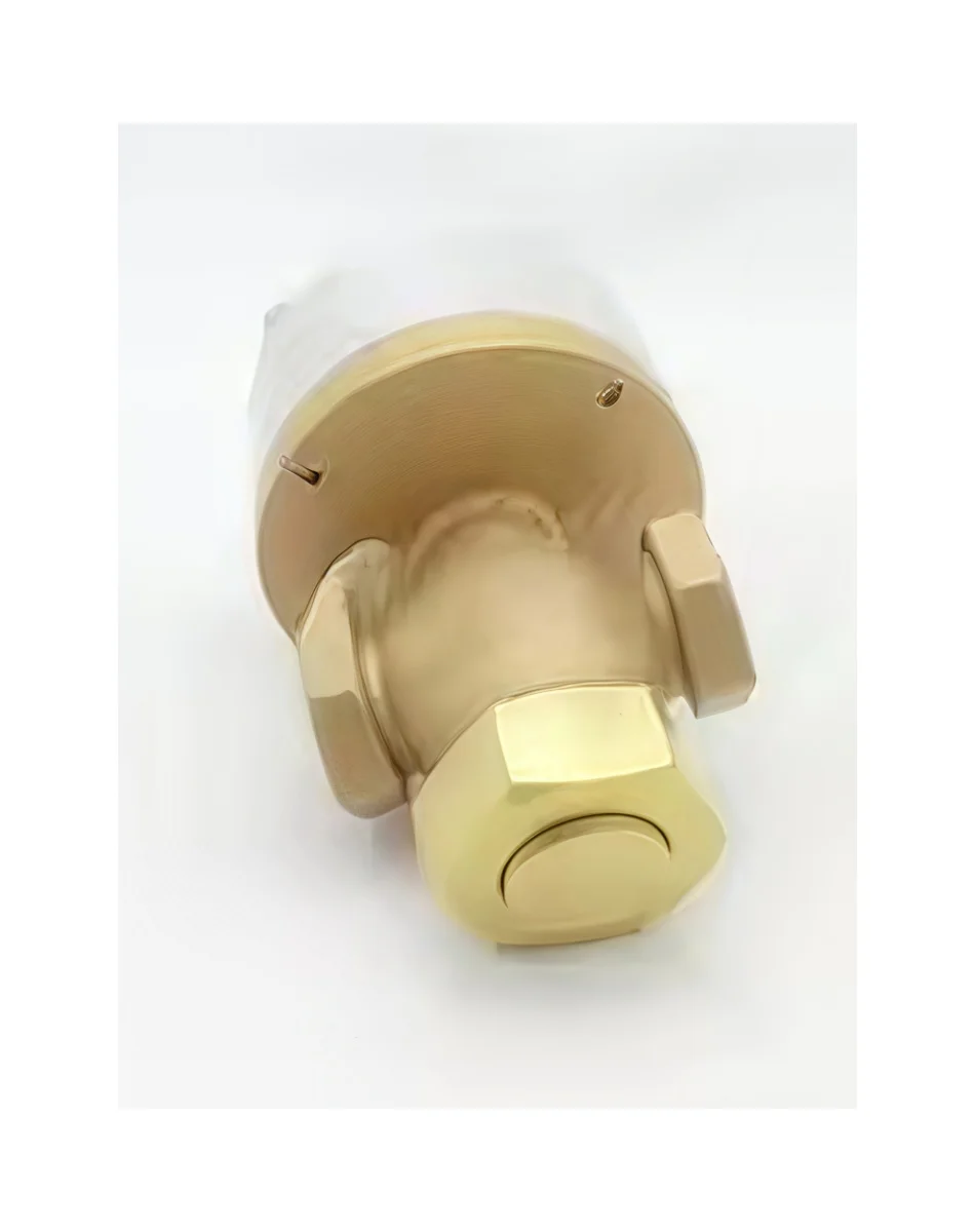 Válvula de sopro de alta qualidade para compressor de ar Sullair 02250069-820