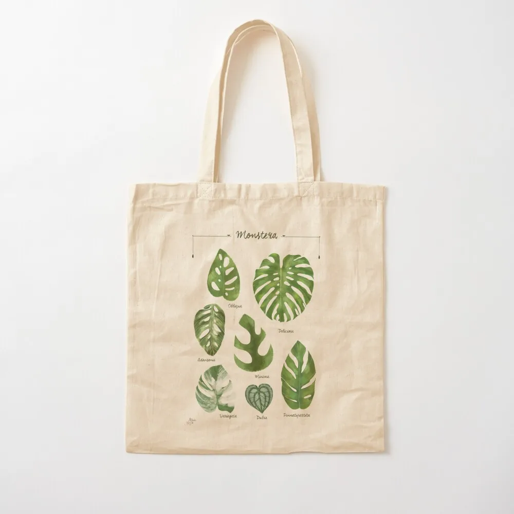 

Monstera varieties illustration foliage leaf species Tote Bag