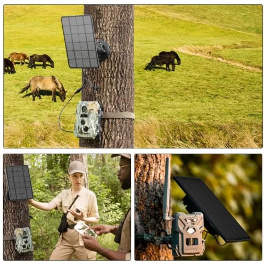 Trail camera solar panel detail