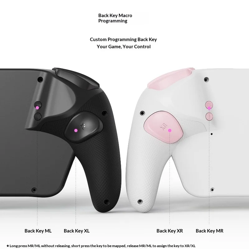 Programmable Retro Gamepad with 6-Axis Gyro, RGB Back Paddle & Turbo Macro, Metal Joystick Dual Vibration for PC/Switch