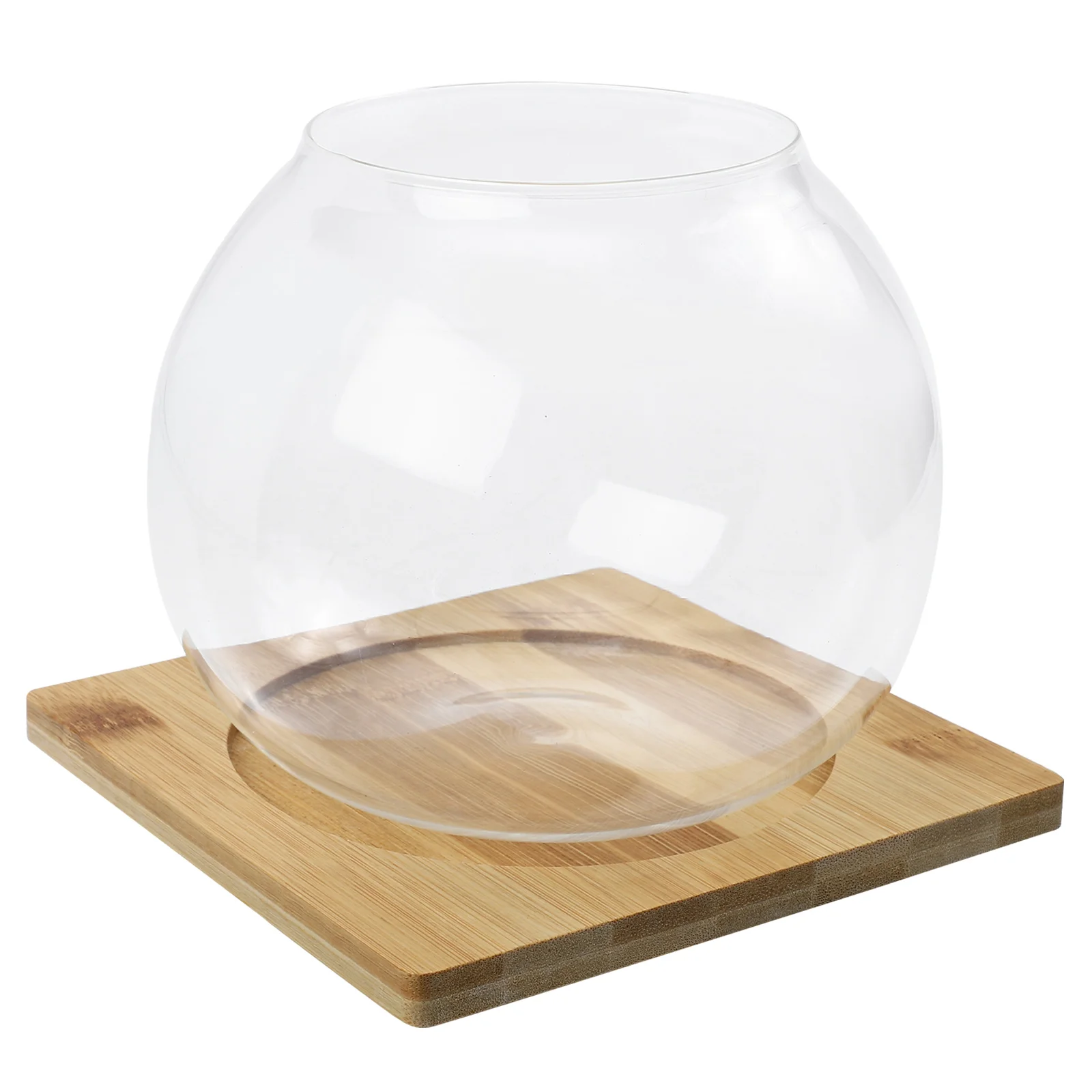 

Eco Bottle Stone Display Pot Glass Storage Holder Micro Landscape Vase Decorative Glass Vase Plant Storage Pot Small Fish Bowl