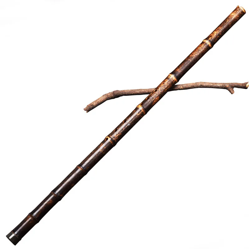Professional F Key 8 Hole Bamboo Flute, Traditional Chinese Dizi for Beginners, Advanced Players, G Tuned, Long Elegant Design