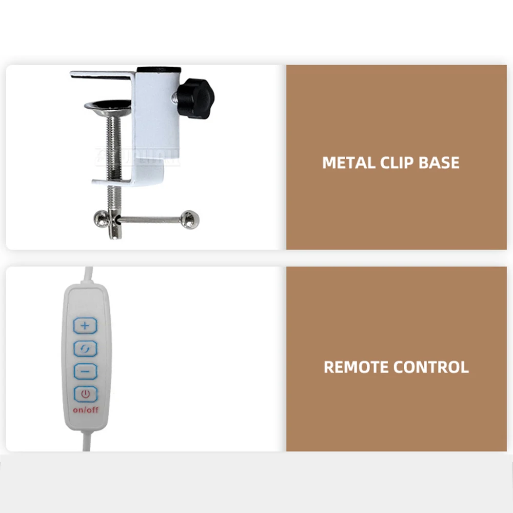 Eye Protection Reading Desk Lamp with Long Arm Folding Clip for Bedroom