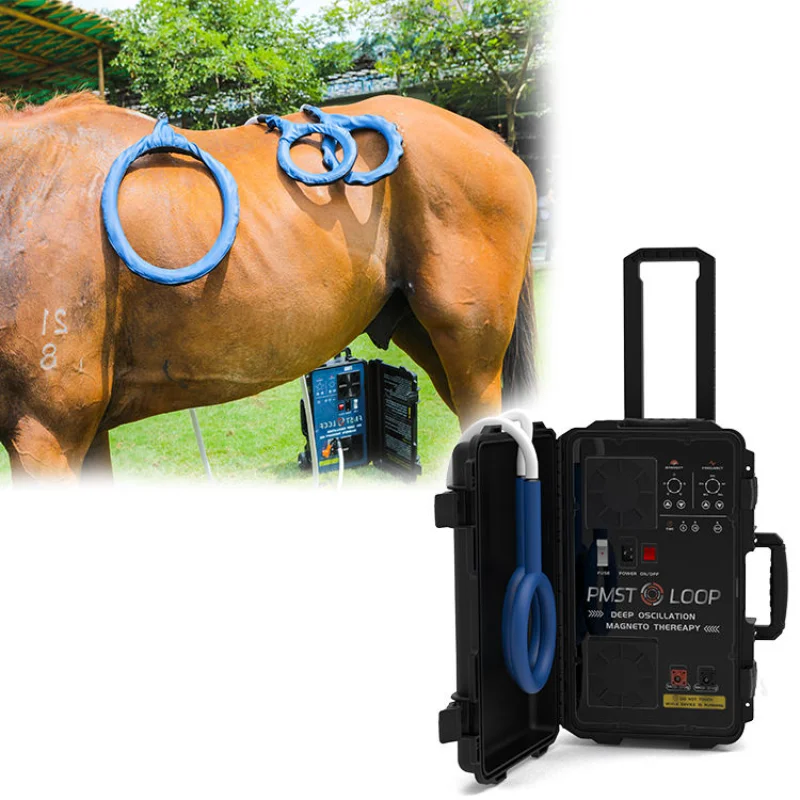 PMST Pulsed Electromagnetic Therapy Device for Horses, PEMF With Single Loop And Butterfly Loop PMST PEMF Therapy Machine