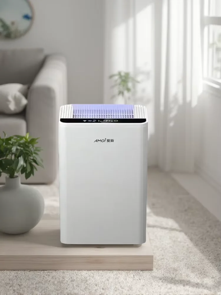 220V Electric Dehumidifier Low Noise Moisture Absorber Anti-Mold for Home And Basement Use LYH