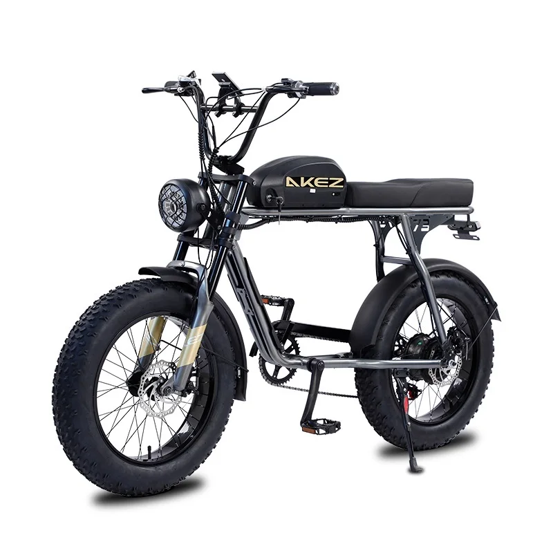 Fat Bike Electric Bicycle 20 Inch 48V 1500W Powerful Electric Mountain Bike Man S3 Off Road eBike With Removable Battery