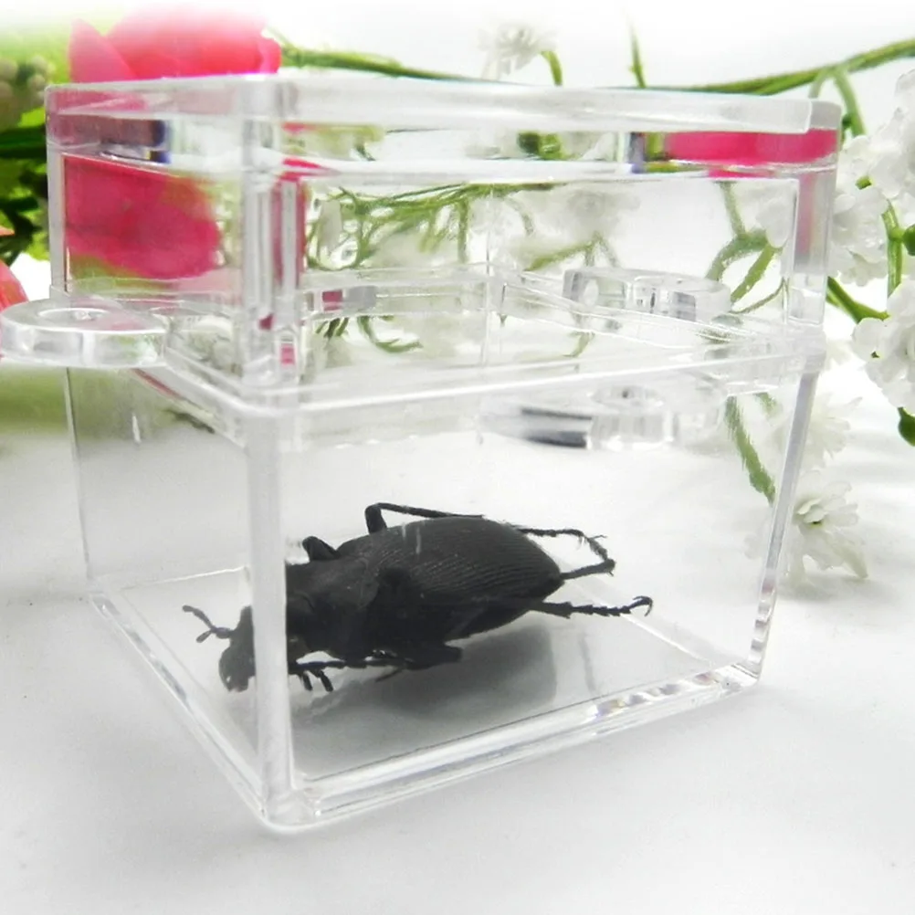 

6 Pcs Insect Observation Box Agnifying Viewing Jar Container Design Magnifier Child
