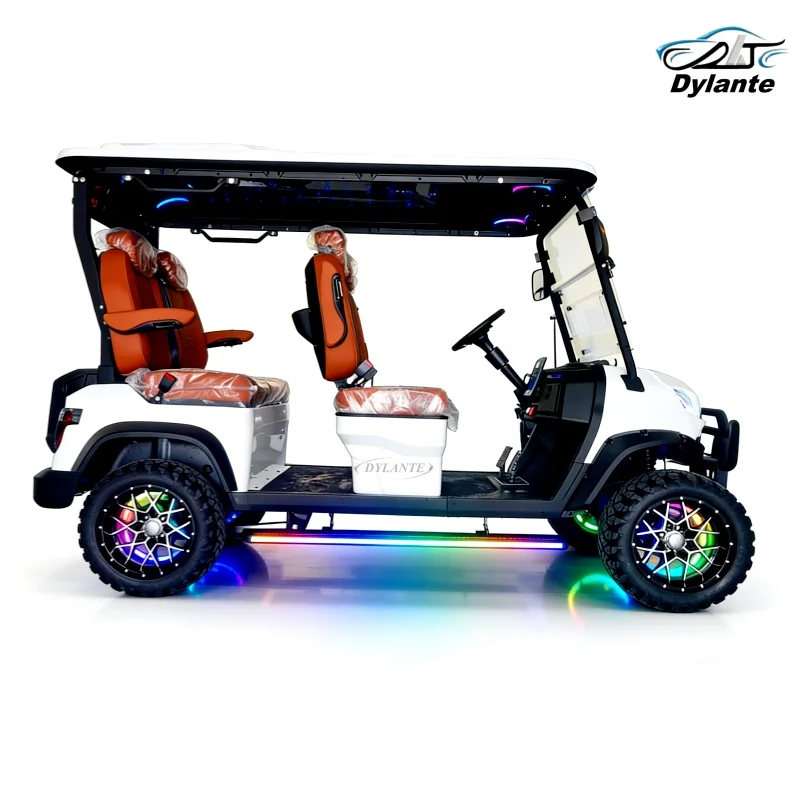 60v 72V Electric Golf Cart 2 Seater Lithium 5KW 6KW AC Motor Steering Wheel Adjustable Off Road Golf Cart Hunting Golf Buggy