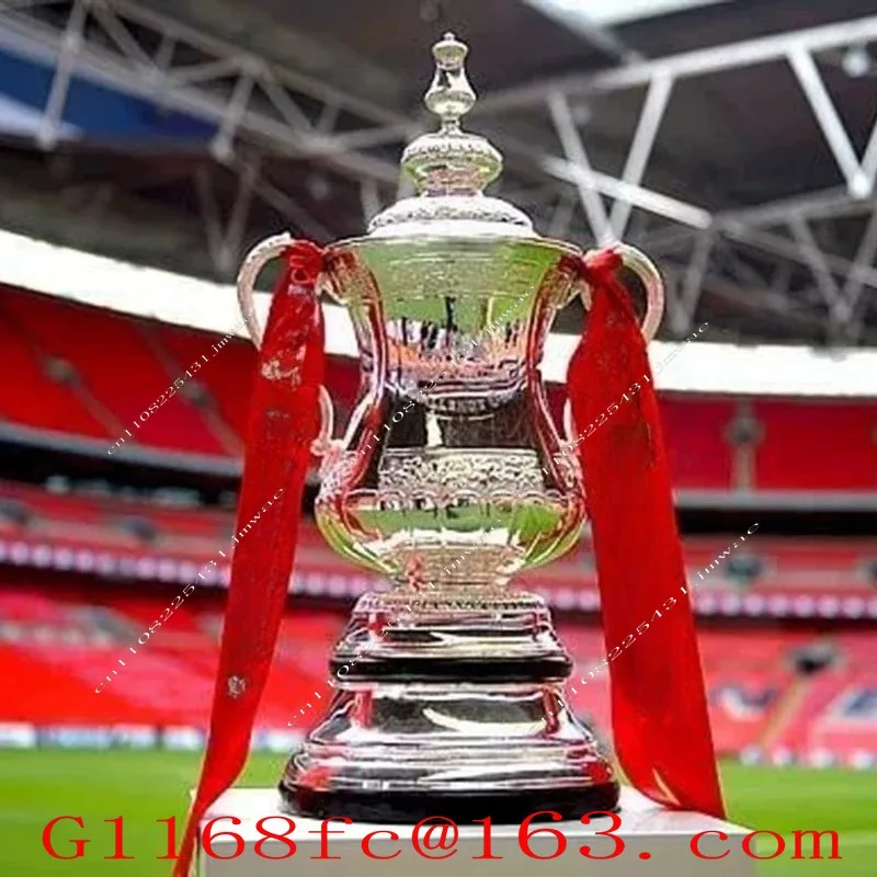 High Quality Professional 2020 English FA Cup Model Fan Merchandise