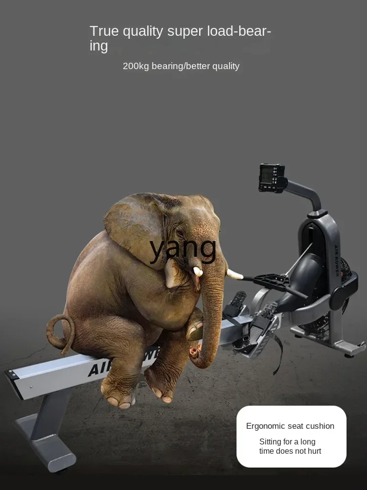 lmm Rowing Machine Household Gym Sports Equipment Wind Resistance Mute Aerobic Intelligence