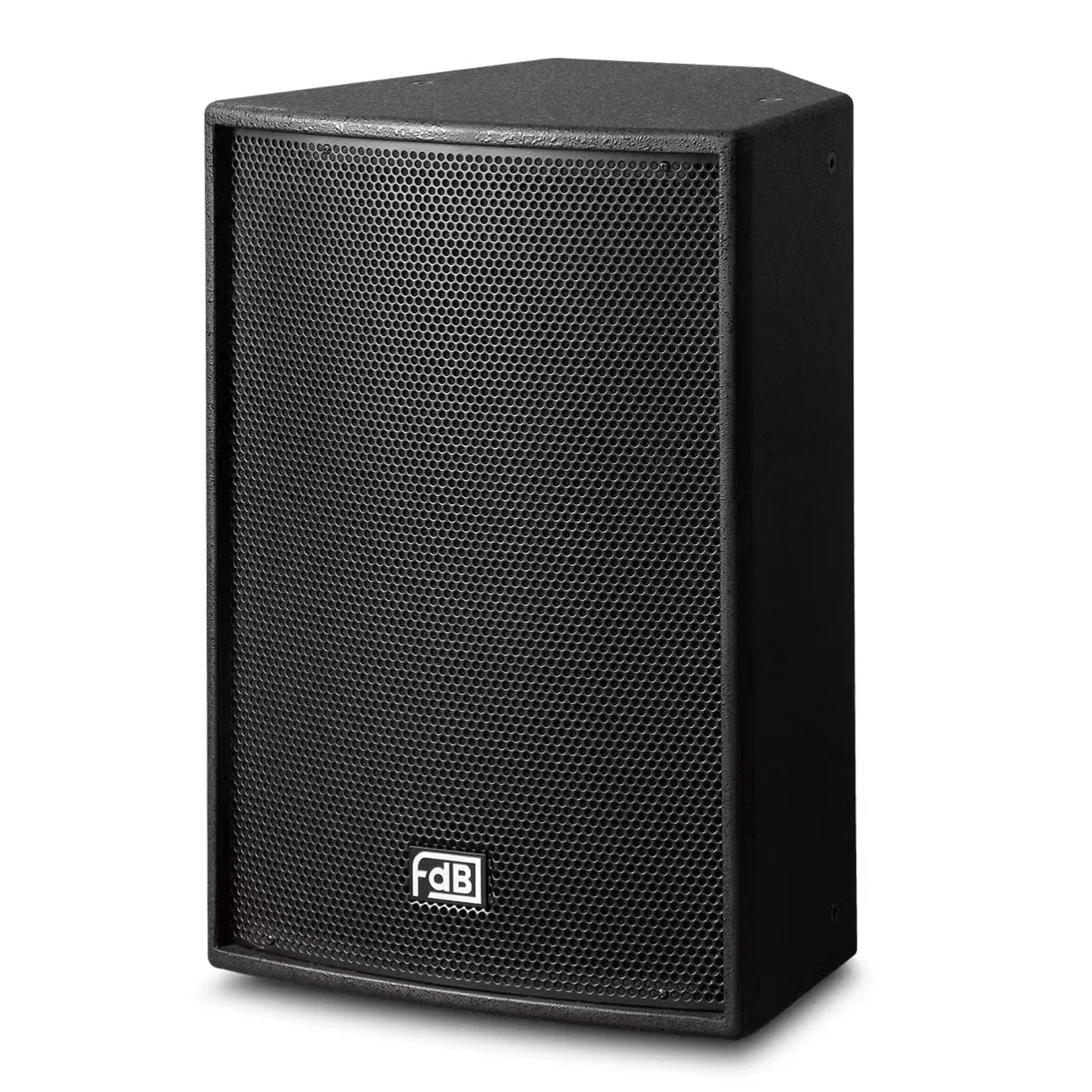 

China Professional 12" Speaker Manufacture FT12II Speaker System