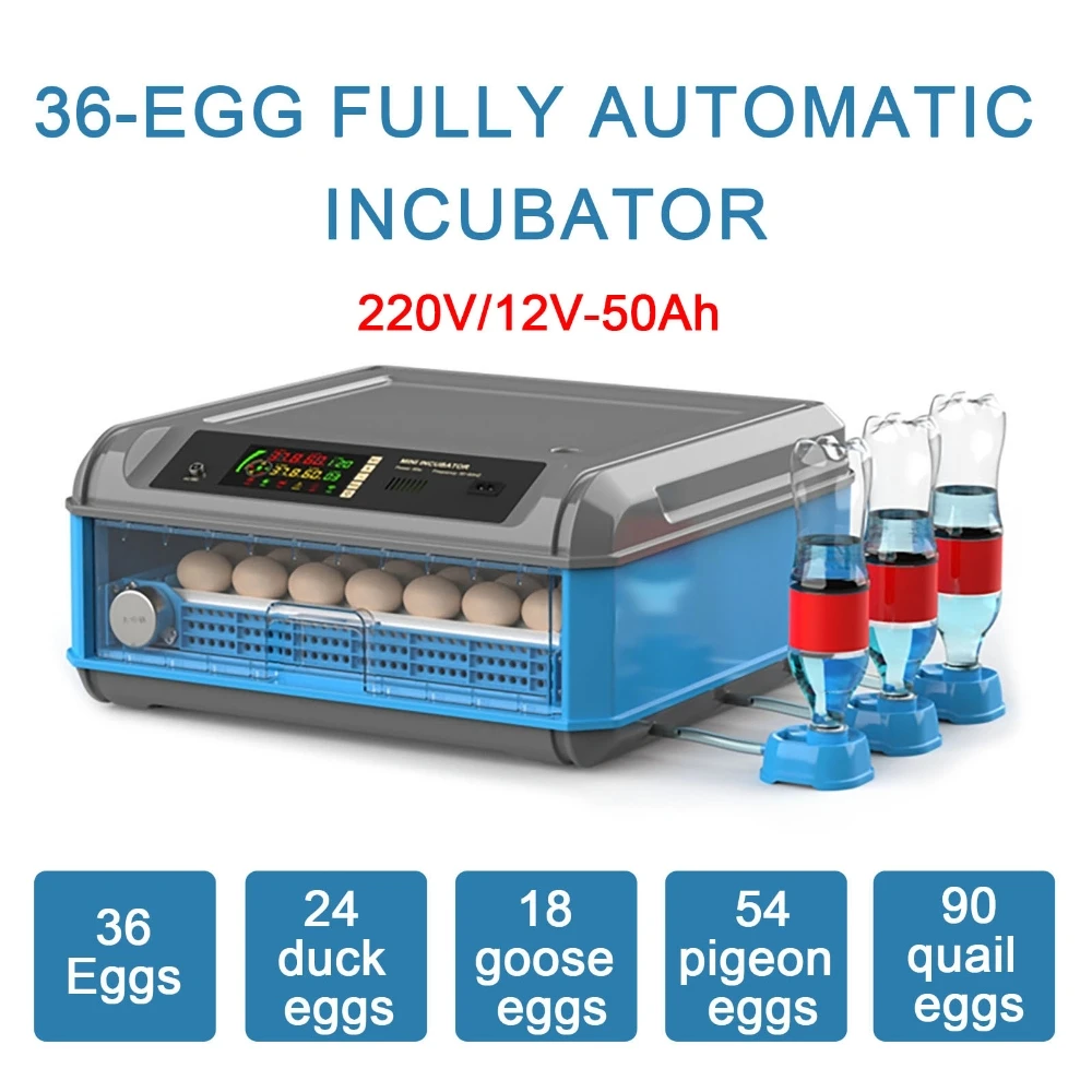 36 Eggs Breeding Incubator Hatcher Automatic Temperature Control Digital Farm Chicken Bird Incubator 220V/12V Dual Power Supply