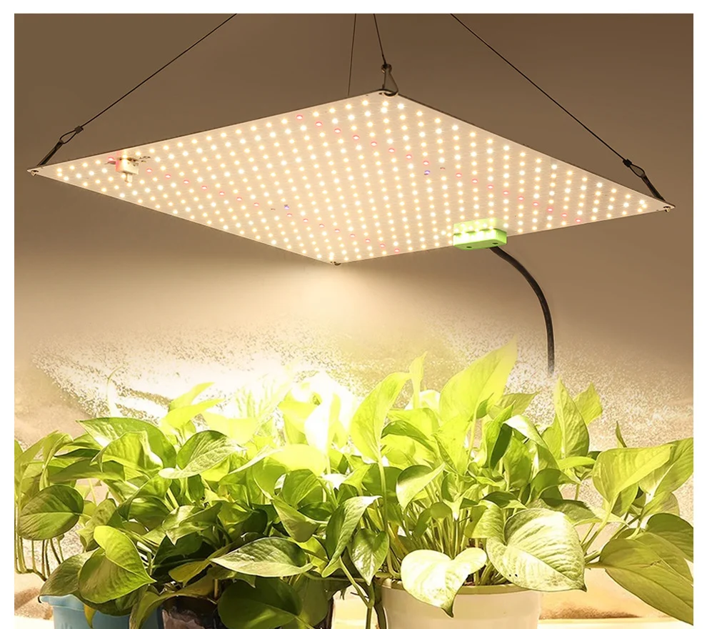 Imagem -04 - Full Spectrum Led Grow Light Hidroponia Lâmpada de Crescimento Vegetal Quantum Board Chips Lm281b 60w 120w