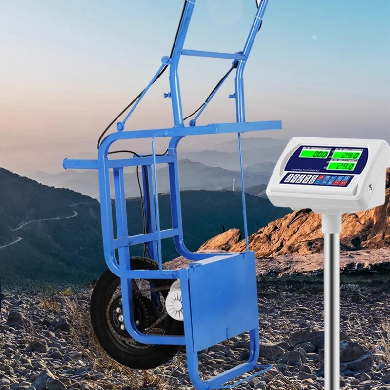 Agricultural Electric Hand-Pushed Wheelbarrow Orchard Transport Compact Lithium Battery 24V Ivy Handcart(Customized)