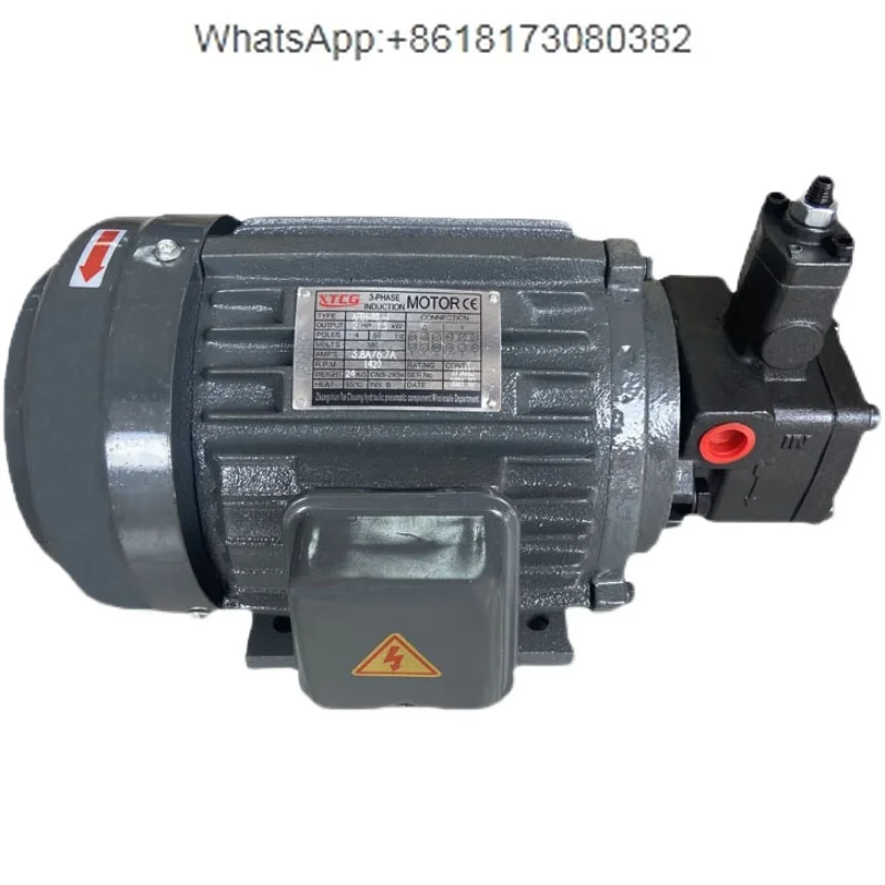 Hydraulic motor plug-in oil pump motor 0.75KW/1.5KW/2.2KW with VP20/VP15/VP30