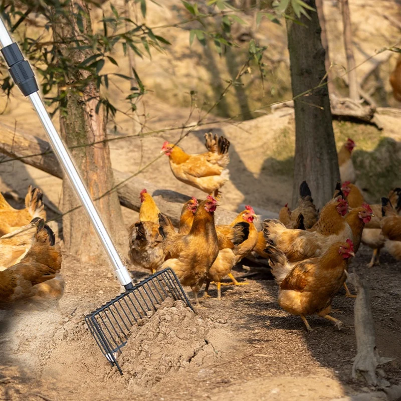 

Stainless Steel Chicken Manure Shovel Extended Handle Adjustable Fowl Dung Shovel Poultry Poop Scooper for Chicken Coop Special
