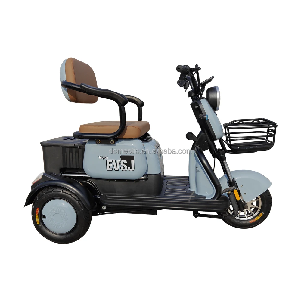 Three wheeled Electric trike 650/1000W adult portable moped scooter tricycle