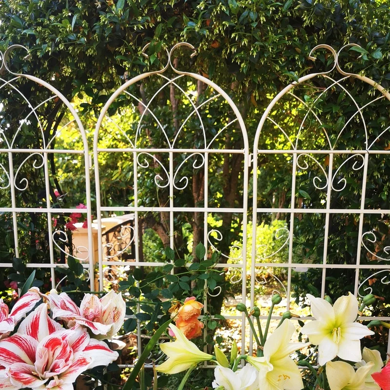 

4-Pack Metal Garden Trellis 71" x 19.7" Rustproof Support for Climbing Plants Outdoor Flower Stand Cream White