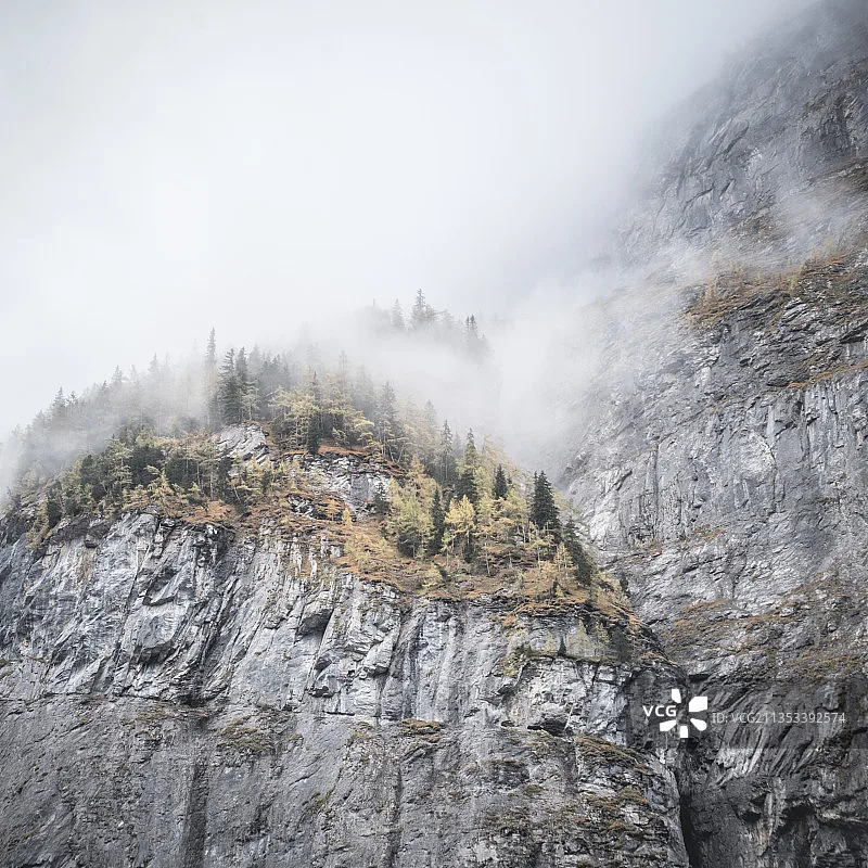 

FLYWOO Finder V1.0 BB Ring 100dB Зуммер со светодиодной подсветкой Поддержка BF CF Детали управления полетом для RC Micro Drone Quad