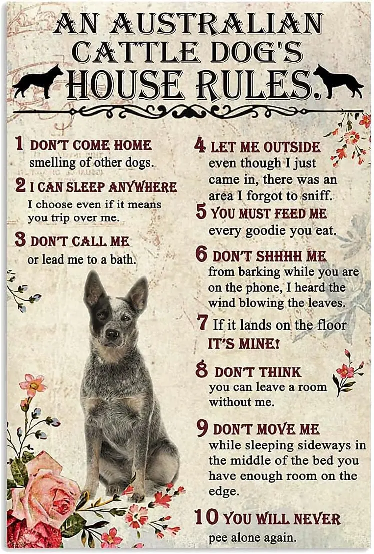 an Australian Cattle Dogs House Rules Wall Art Poster Cute Sign Wall Decor Metal Sign Poster 8X12 Inches sign