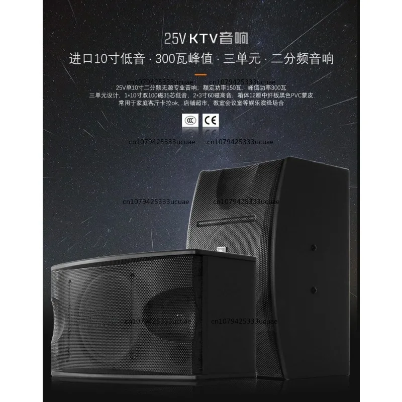 10inch KTV Karaoke Speaker Home Outdoor Professional Stage Sound System