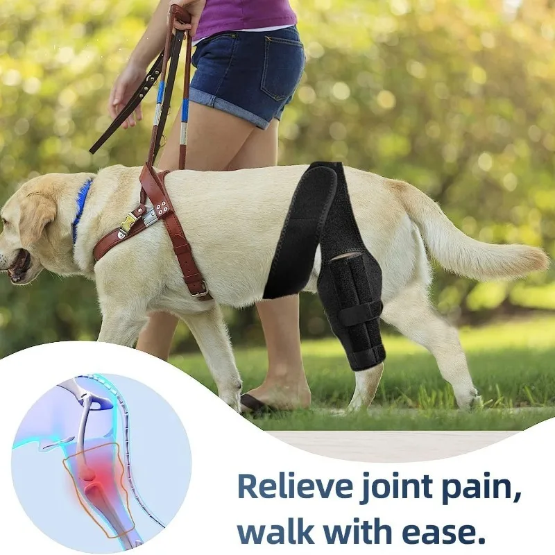 

‌PetDogDog Leg Brace Knee Support Recovery Aid Soft Protective Wrap Injury Care Comfortable Breathable Adjustable Size