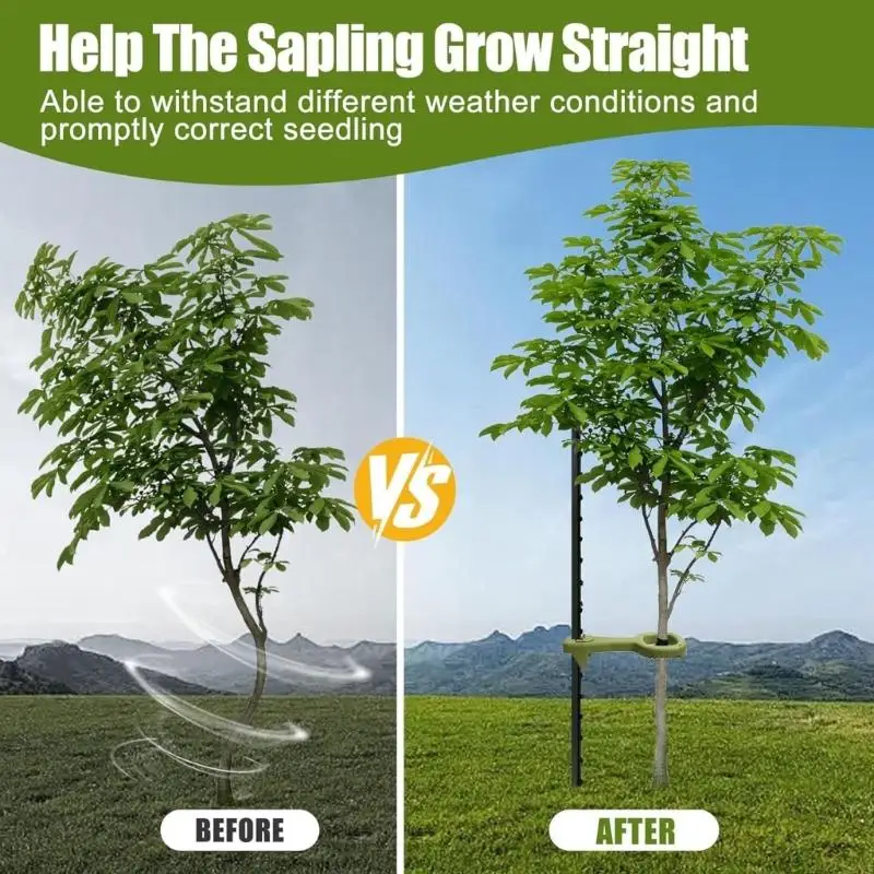 Tree Support set For Straightening Leaning Saplings With Flexible Bands And Steel Stakes 87HA